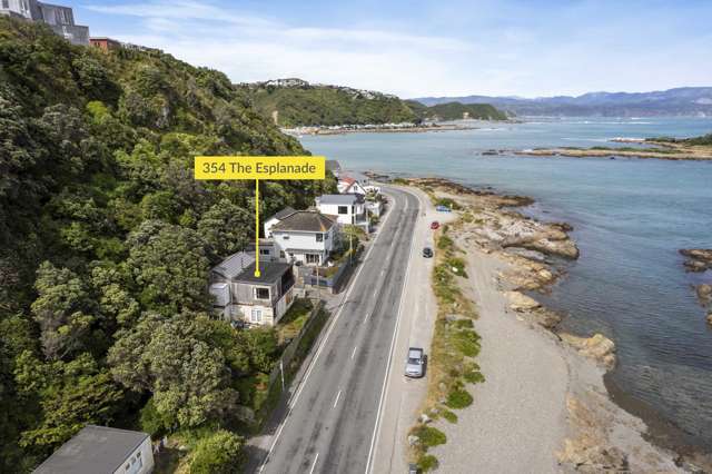 354 The Esplanade Island Bay_1