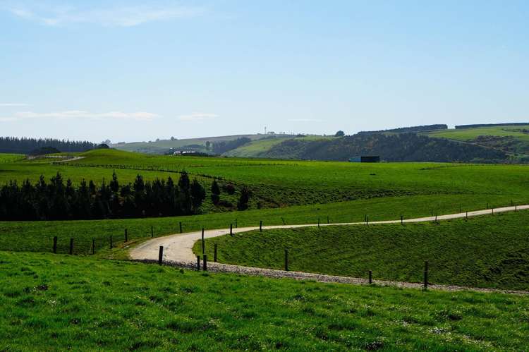 696 Jacks Hill Road Waimahaka_20