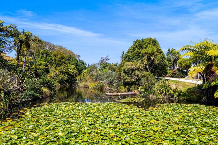 77c Dorset Road Hillsborough_29