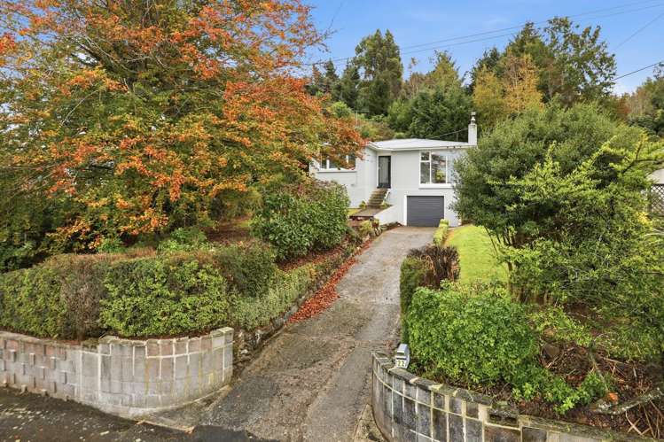 22 Turner Street Halfway Bush_18