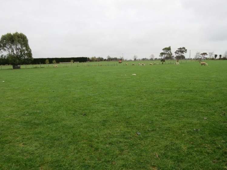 914 Woodlands Invercargill Highway Longbush_15