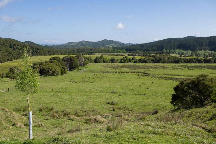 Waihua Valley Wairoa_14