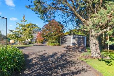 438 Pinnacle Hill Road_4