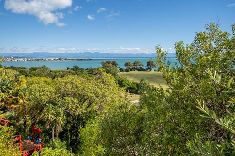 23A Walters Bluff Atawhai_9