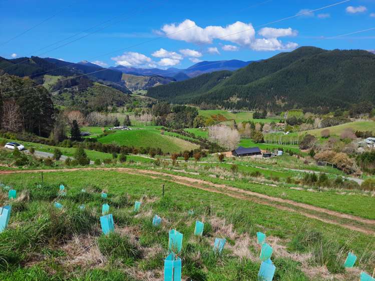 Lot 4 326 Aniseed Valley Road Aniseed Valley_11