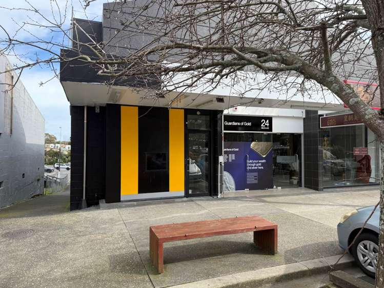 24 Delta Avenue New Lynn_1