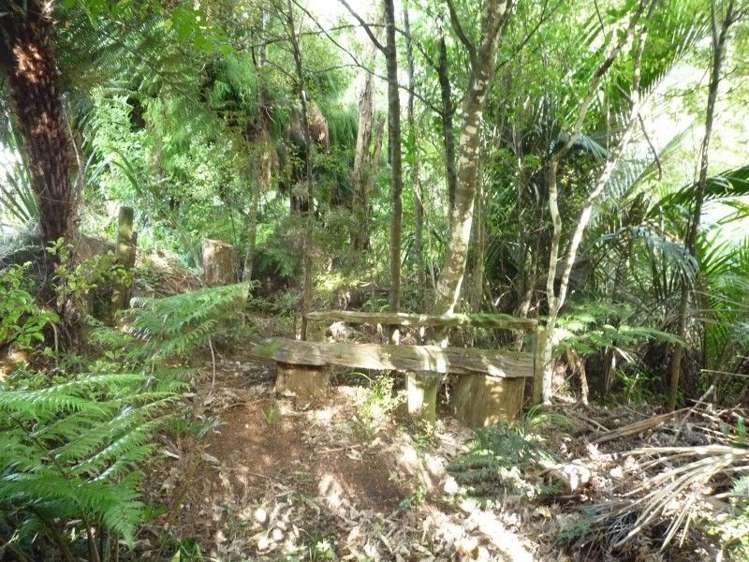 21 Punga Place Whitianga_33