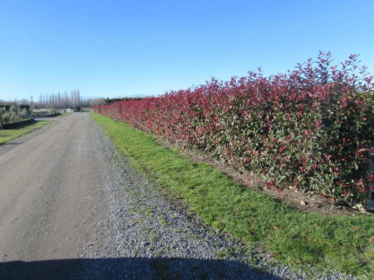 362 Ashburton Staveley Road Greenstreet_15