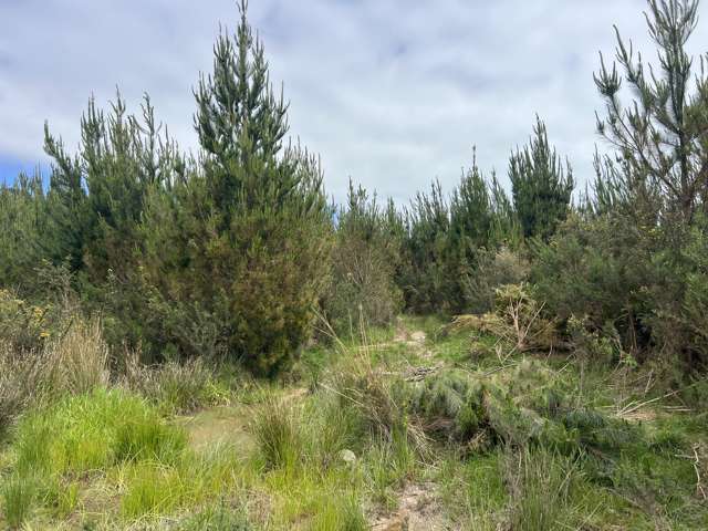 Marsden Road Marsden_4