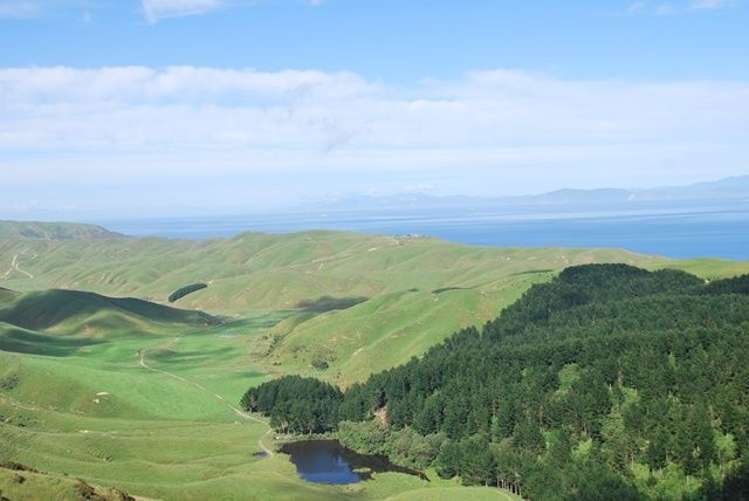 321 Boom Rock Road Ohariu_11