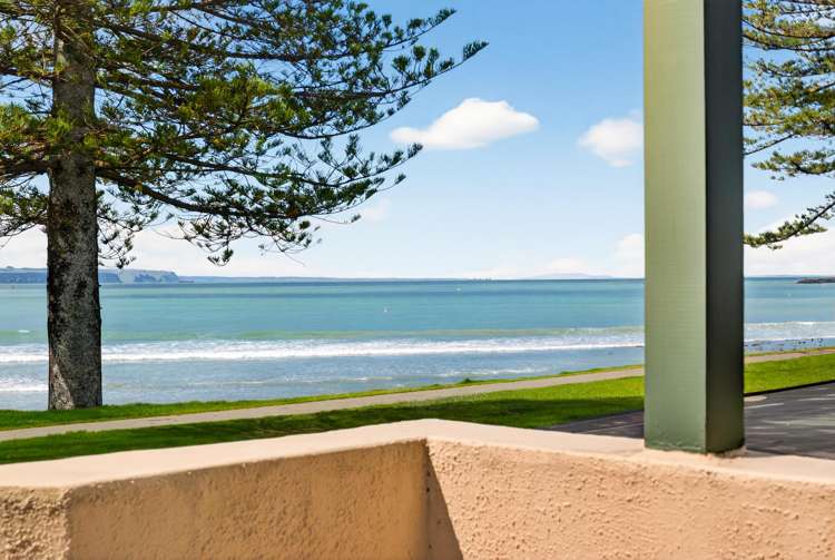 40 Hardinge Road Ahuriri_22