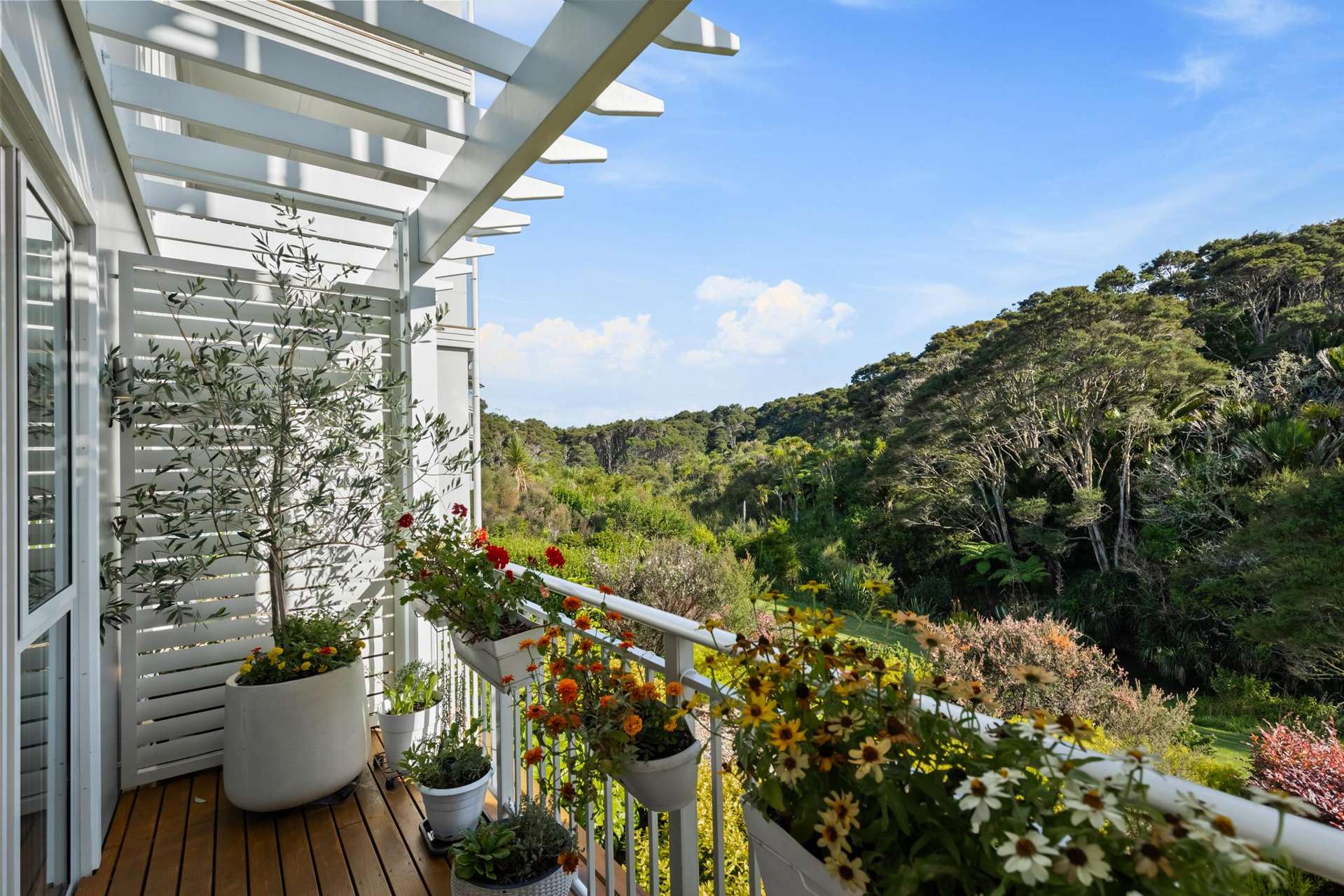 90 Eaves Bush Parade Orewa_0