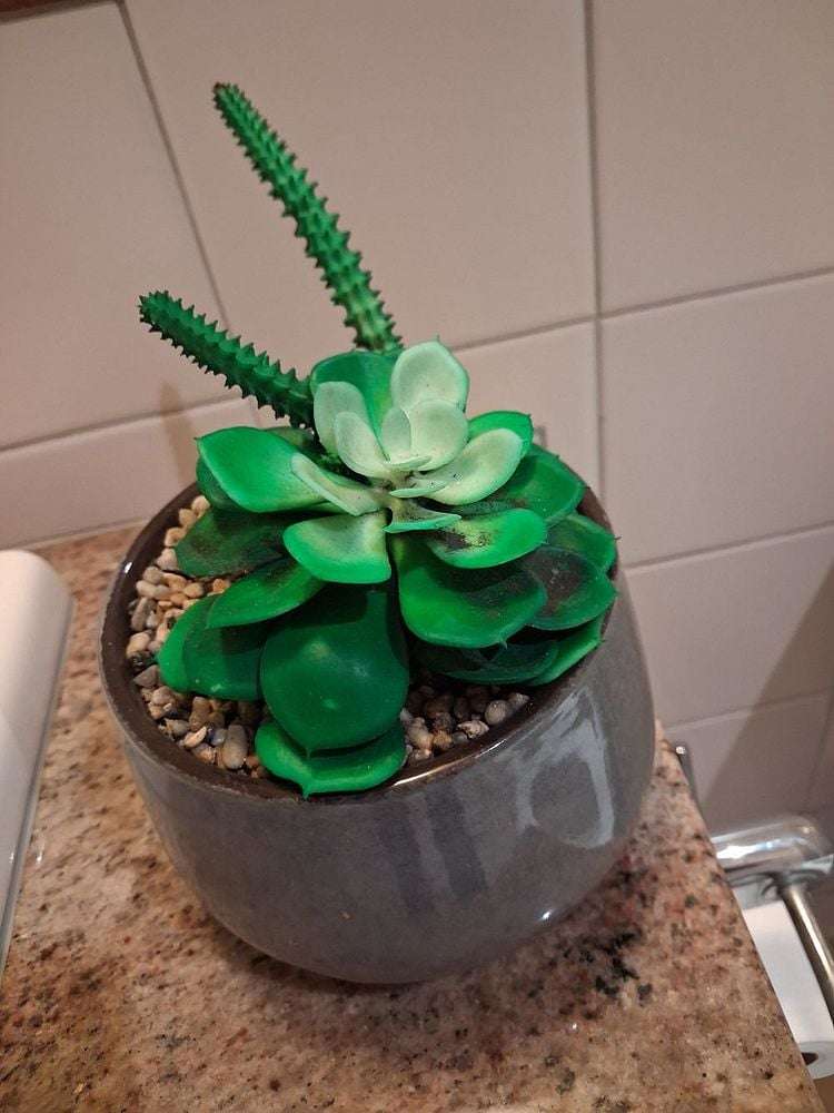 414/22 Nelson Street Auckland Central_15