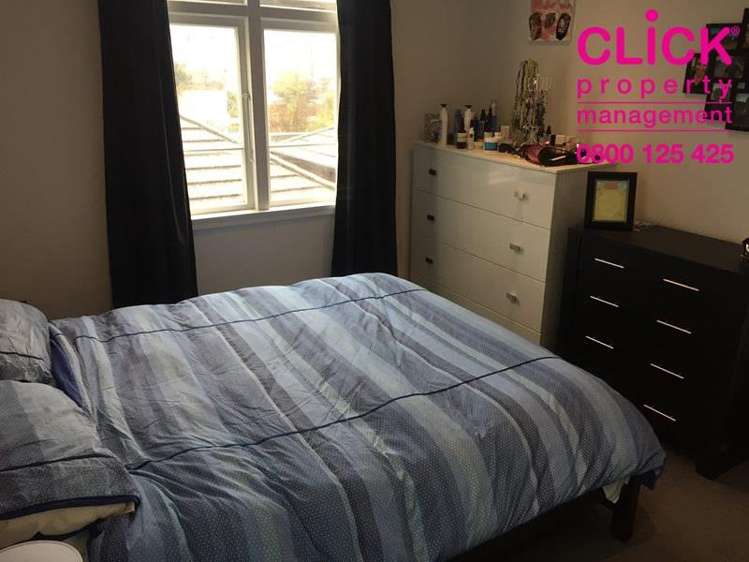 Otago Street Picton_10