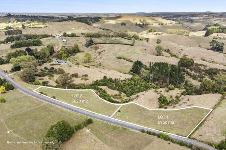 1053 and 1055 Taotaoroa Road_0