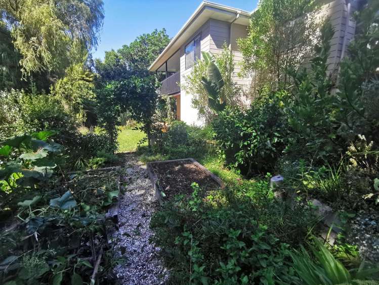 5/1 Arran Street Auckland_17