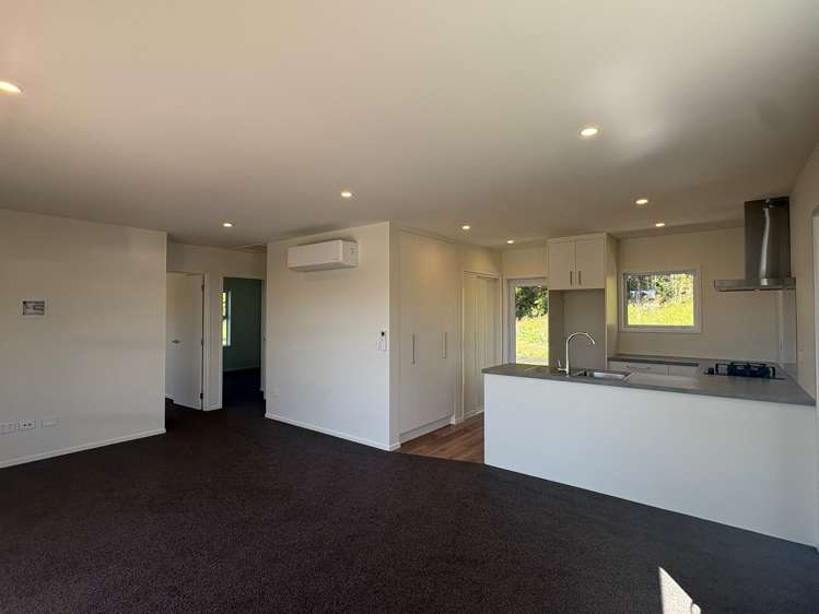 321a Woodstock-Rimu Road Ruatapu_5