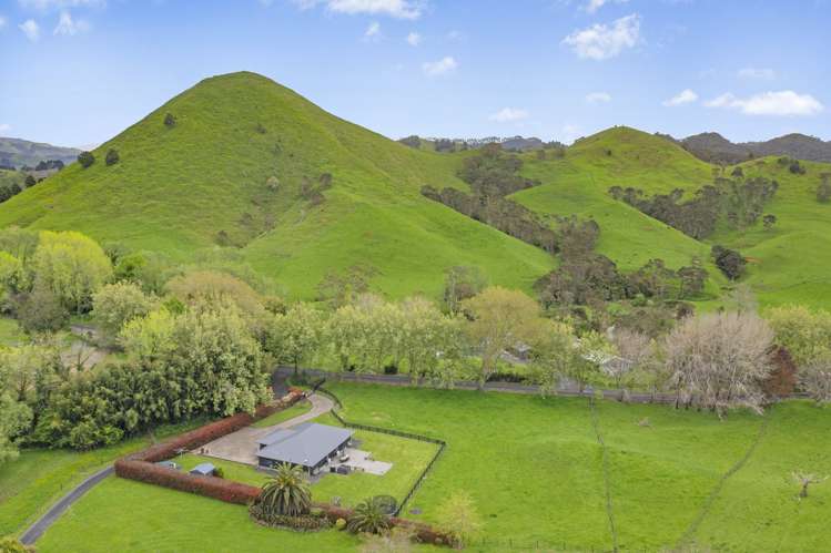 24a Cogswell Road Raglan_43