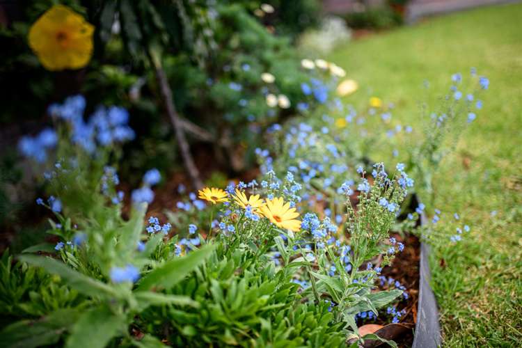 4/39 Swanson Road Henderson_27