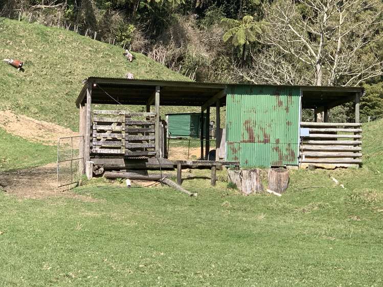 40 Takiri Road Aria_7