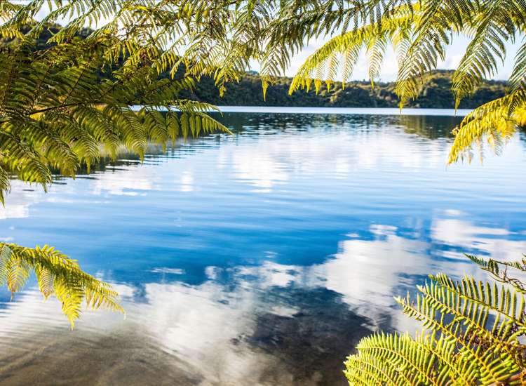 Address withheld Rotorua Central_2