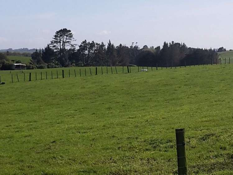 346 Rugby Road Tariki_26