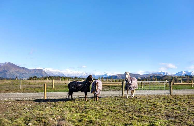 148 Fowler Lane Wanaka_13