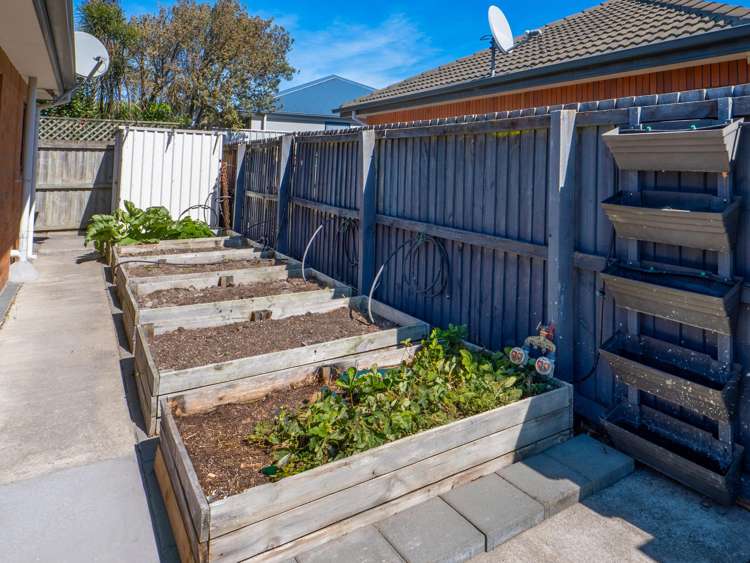 40 Travis Country Drive Burwood_17