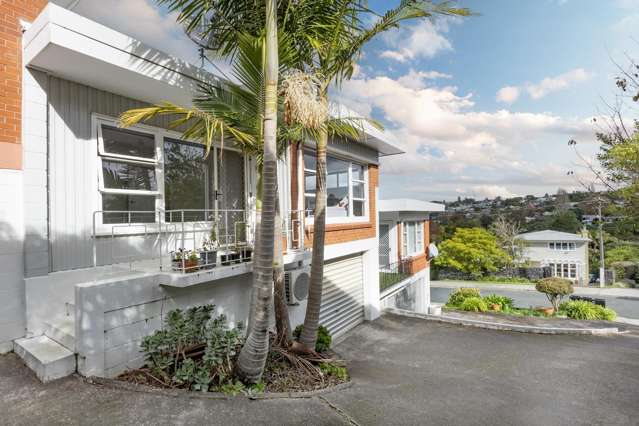 25B MacPherson Street Meadowbank_2
