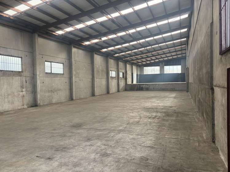 591 Rosebank Road Avondale_11