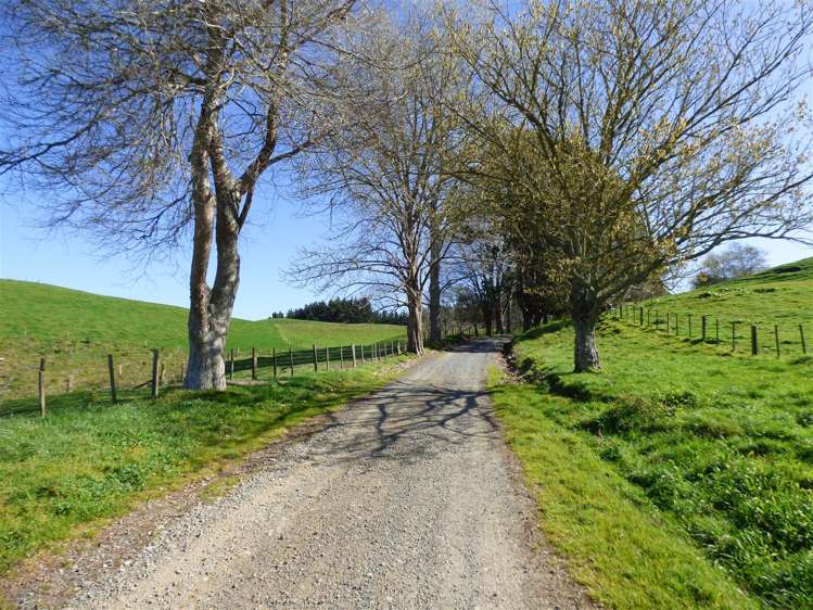 546 Ngutunui Road Otorohanga_32