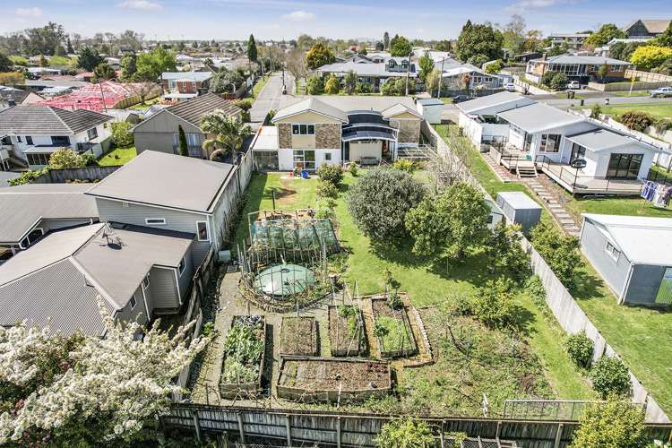 31 Thomson Avenue Dinsdale_4