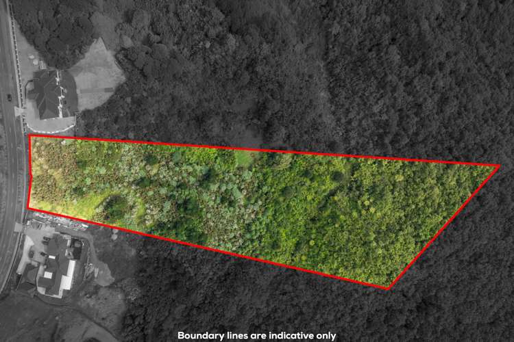 79 Griggs Road East Tamaki Heights_6