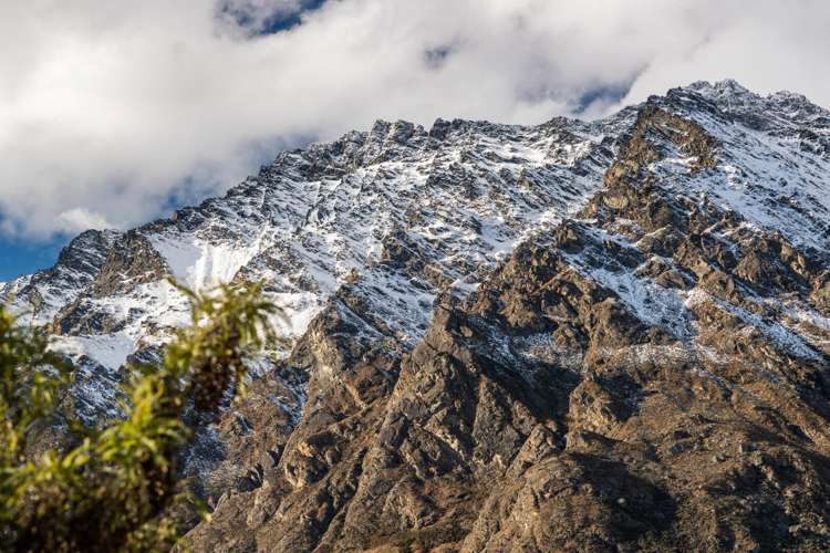 66 Jacks Point Rise Jacks Point_14