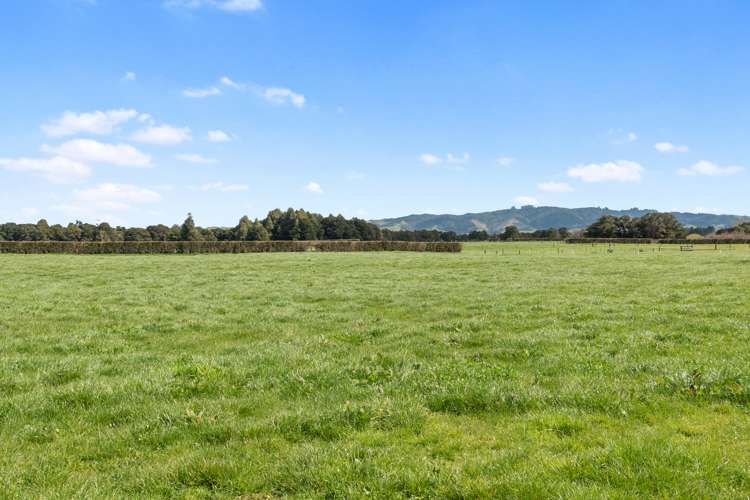 711 Horrell Road Morrinsville_17