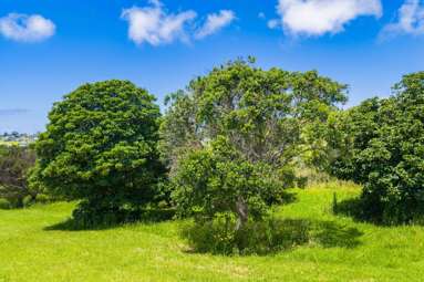 249 Barrier View Road_4