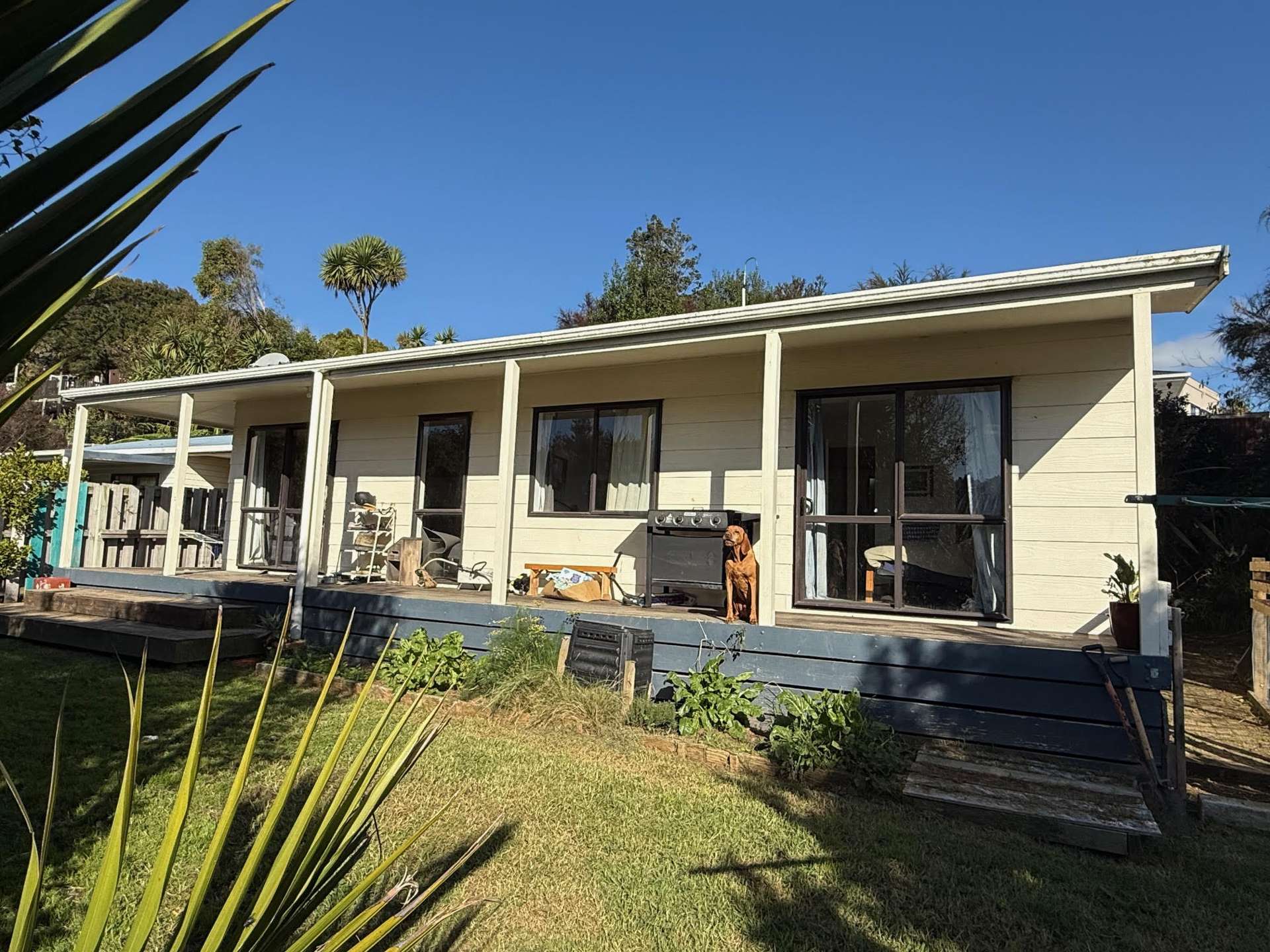 55B Government Road Raglan_0