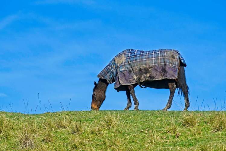 Ormond Valley Road Ormond_15