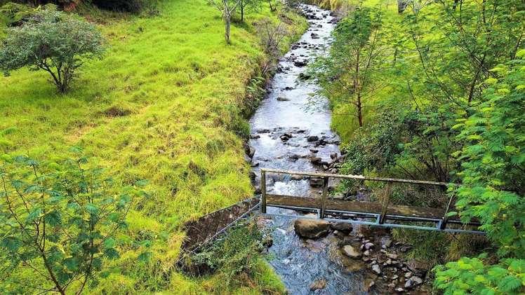 Wekaweka Road Waimamaku_9