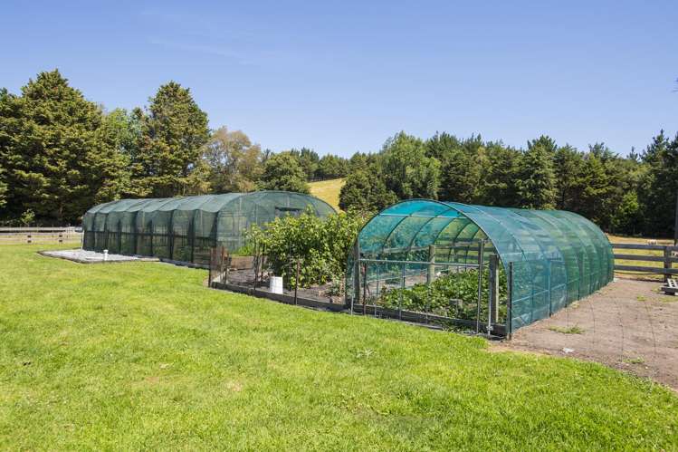 909A Wharekopae Road Ngatapa_19