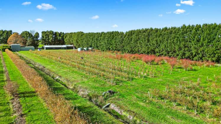 390 O'Regan Road Ngahinapouri_7