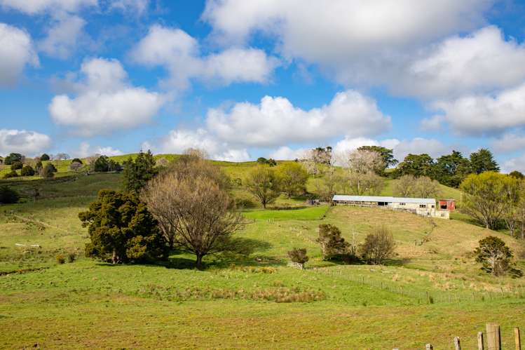 164 Arcadia Road Paparoa_13