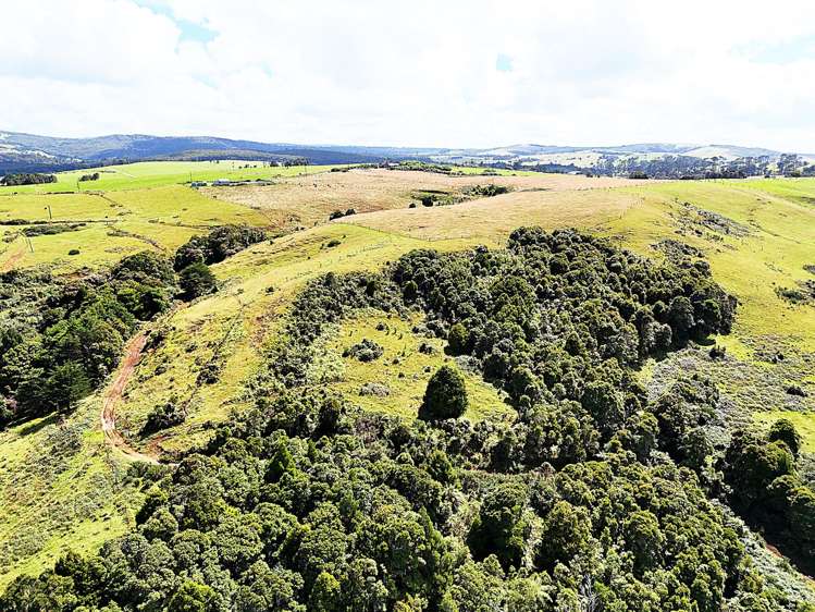 870 Marlborough Road Dargaville Surrounds_14