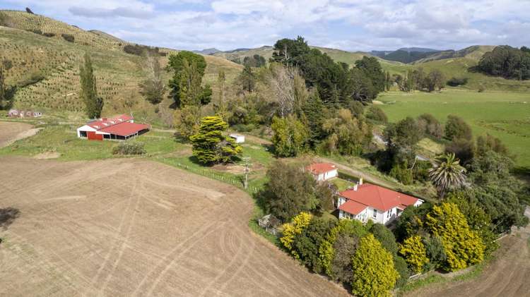 16451 Route 52 Masterton_16