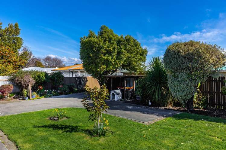 9 Leefield Street Blenheim_5