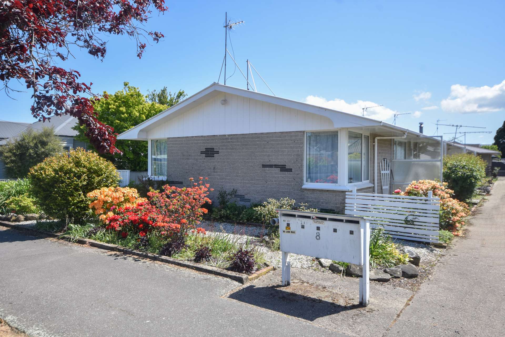 8e Ayr Street Mosgiel_0