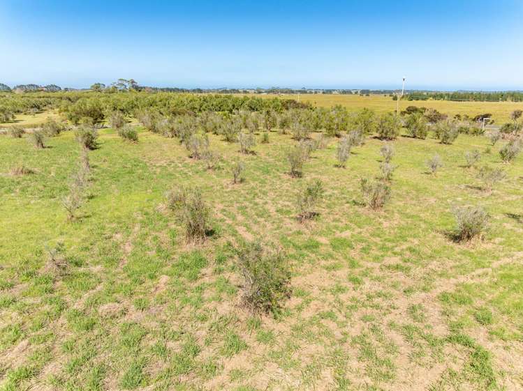 1426A Inland Road Karikari Peninsula_6