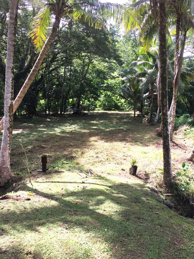 Lot 1 Sekawa Estate Savusavu_0