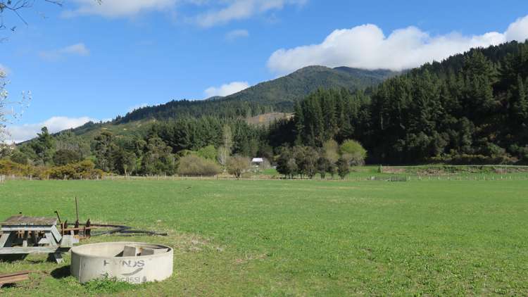 3957 Northbank Road Wairau Valley_9