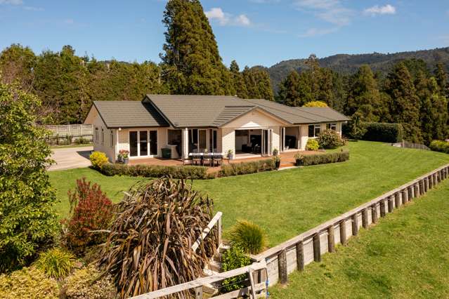 388 Manoeka Road Te Puke_2